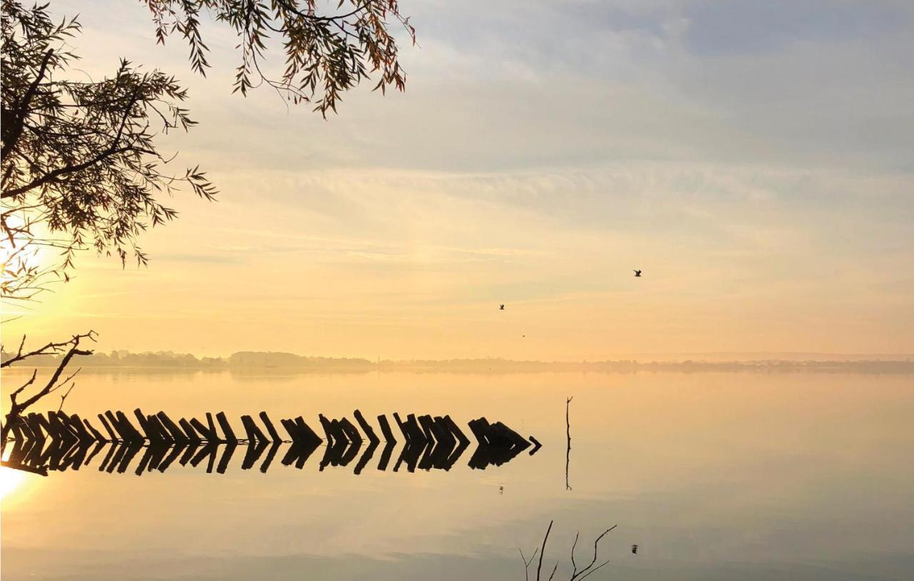 Nice Home In Lembruch-Duemmer See With Sauna Luaran gambar